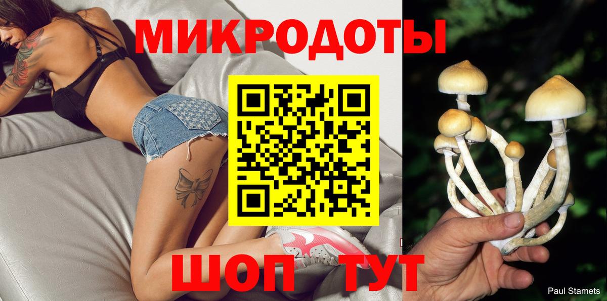 Галлюциногенные грибы Psilocybine cubensis Рославль
